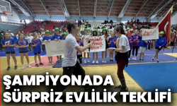 Şampiyonada sürpriz evlilik teklifi