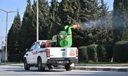 Manisa’da Haşerelere Karşı 7/24 Mücadele