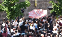 İşte Mesir Saçım Töreninden Renkli Görüntüler