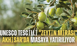 UNESCO Tescilli "Zeytin Mirası" Akhisar’da Masaya Yatırılıyor
