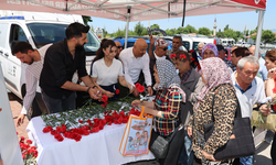 Şehzadeler Belediyesi Kabir Ziyaretine Gidenlere Karanfil Dağıttı