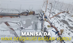 Manisa’da Hava Değişikliği Bağları Vurdu