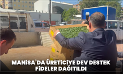 Manisa’da Üreticiye Dev Destek: Fideler Dağıtıldı
