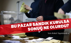 Bu Pazar Sandık Kurulsa Sonuç Ne Olurdu? Son Anket Yayımlandı