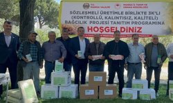 Saruhanlı’da 3K’lı bağcılık projesi başladı