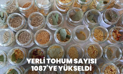 Yerli tohum sayısı 1087’ye yükseldi