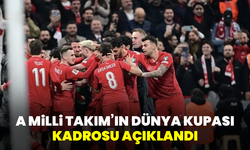 A Milli Takım’ın Dünya Kupası kadrosu belli oldu
