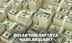 Dolar ve Euro haftaya yükselişle başladı
