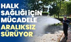 Halk Sağlığı İçin Zararlılarla Mücadele Aralıksız Sürüyor