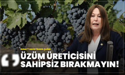 Sunat'tan İktidara Çağrı "Üzüm Üreticisini Sahipsiz Bırakmayın!"