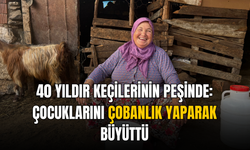 40 Yıldır Keçilerinin Peşinde: Çocuklarını Çobanlık Yaparak Büyüttü