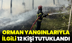 Orman Yangınlarıyla İlgili 12 Kişi Tutuklandı
