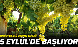 Manisa’da Bağ Bozumu Şenliği 5 Eylül’de Başlıyor
