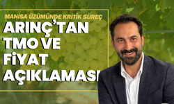 Manisa üzümünde kritik süreç: Arınç’tan TMO ve fiyat açıklaması