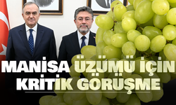 Akçay, Üzüm Üreticilerinin Taleplerini Bakan Yumaklı'ya İletti