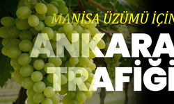 Manisa Üzümü İçin Ankara Trafiği