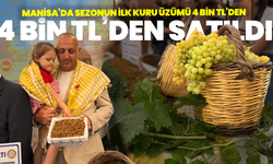 Manisa’nın üzümünde yeni sezon başladı
