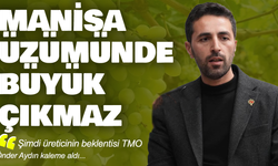 Manisa üzümünde büyük çıkmaz