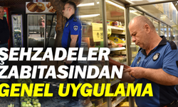 Şehzadeler Zabıtasından Genel Uygulama