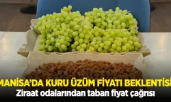 Manisa’da kuru üzüm fiyatı beklentisi: Ziraat odalarından taban fiyat çağrısı