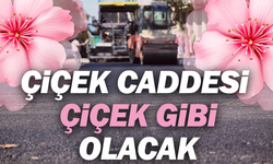 Çiçek Caddesi ‘çiçek’ gibi olacak