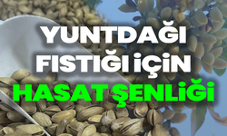 Yuntdağı Fıstığı Hasat Şenliği Akçaköy’de Düzenlenecek