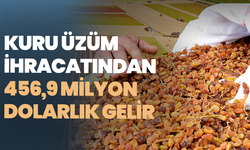 Kuru üzüm ihracatından 456,9 milyon dolarlık gelir