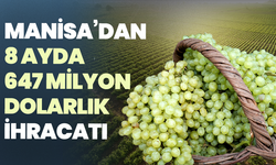 Manisa’dan 8 ayda 647 milyon dolarlık tarım ihracatı