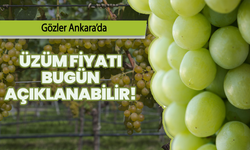 Manisa’da üzüm fiyatı için gözler Ankara’da: Bugün açıklanabilir