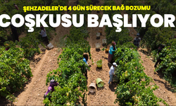 Şehzadeler’de 4 Gün Sürecek Bağ Bozumu Coşkusu Başlıyor