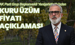 AK Parti Grup Başkanvekili Yenişehirlioğlu’ndan kuru üzüm fiyatı açıklaması