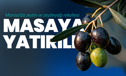 Manisa’da zeytin ve zeytinyağı rekoltesi masaya yatırıldı