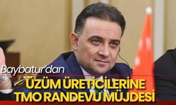 Baybatur’dan Üzüm Üreticilerine TMO Randevu Müjdesi