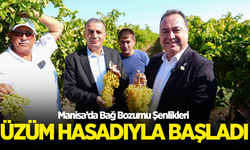 Manisa’da Bağ Bozumu Şenlikleri Üzüm Hasadıyla Başladı