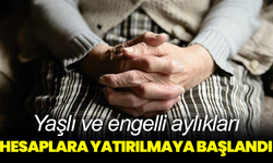 Yaşlı ve engelli aylıkları hesaplara yatırılmaya başlandı