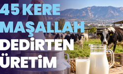Manisa’dan 45 kere maşallah dedirten üretim