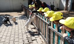 Şehzadeler’in Miniklerinden Can Dostlara Ziyaret