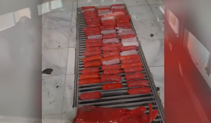 Bu kadarı da pes dedirtti:Uyuşturucu için hayvanları kullandılar