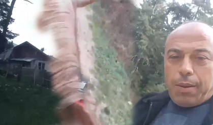 Manisalı turist ata bindi, sosyal medya gülme krizine girdi!