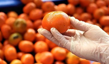 Turunçgilde gizli tehlike: Pestisit böyle temizleniyor