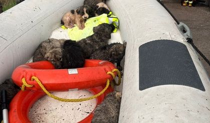 Manisa'da umut dolu kurtarma