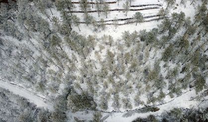 Manisa'nın İlçesi Beyaza Büründü