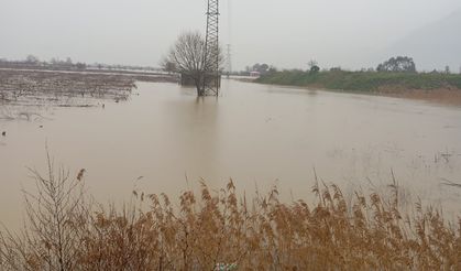 Manisa'da Taşkın! Nif Çayı Bağları Yuttu