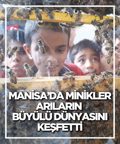 Manisa’da minikler arıların büyülü dünyasını keşfetti