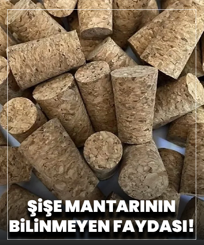 Kimse bilmiyordu: Şişe mantarı konuşmayı değiştiriyor