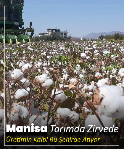 Manisa Tarımda Zirvede: Üretimin Kalbi Bu Şehirde Atıyor