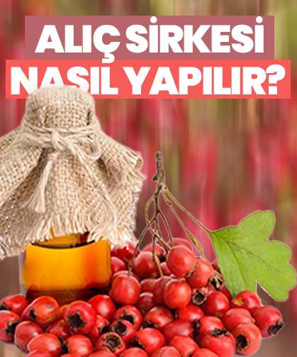 Alıç sirkesi nasıl yapılır? İşte tarifi ve faydaları
