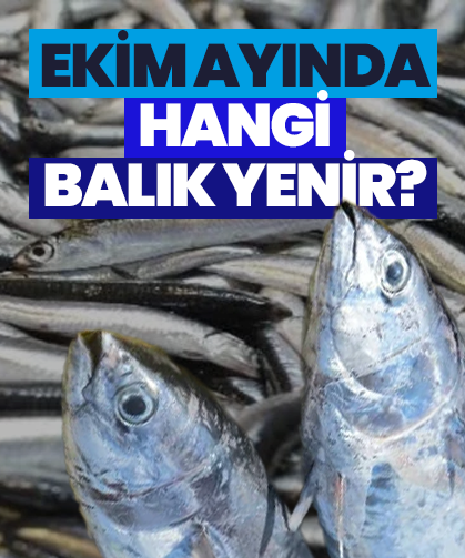 Ekim ayında hangi balık yenir? İşte en lezzetli balıklar