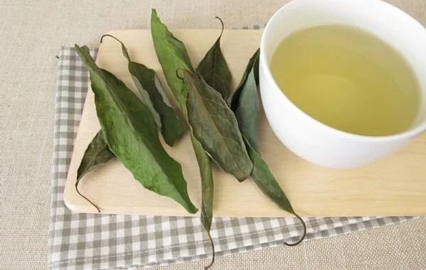 Avokadonun asıl cevheri yaprağında: Kaynatıp içen faydasını görüyor