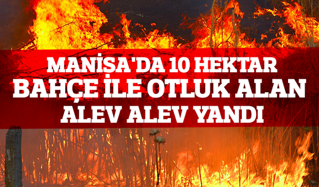 Manisa'da 10 hektar bahçe ile otluk alan yandı